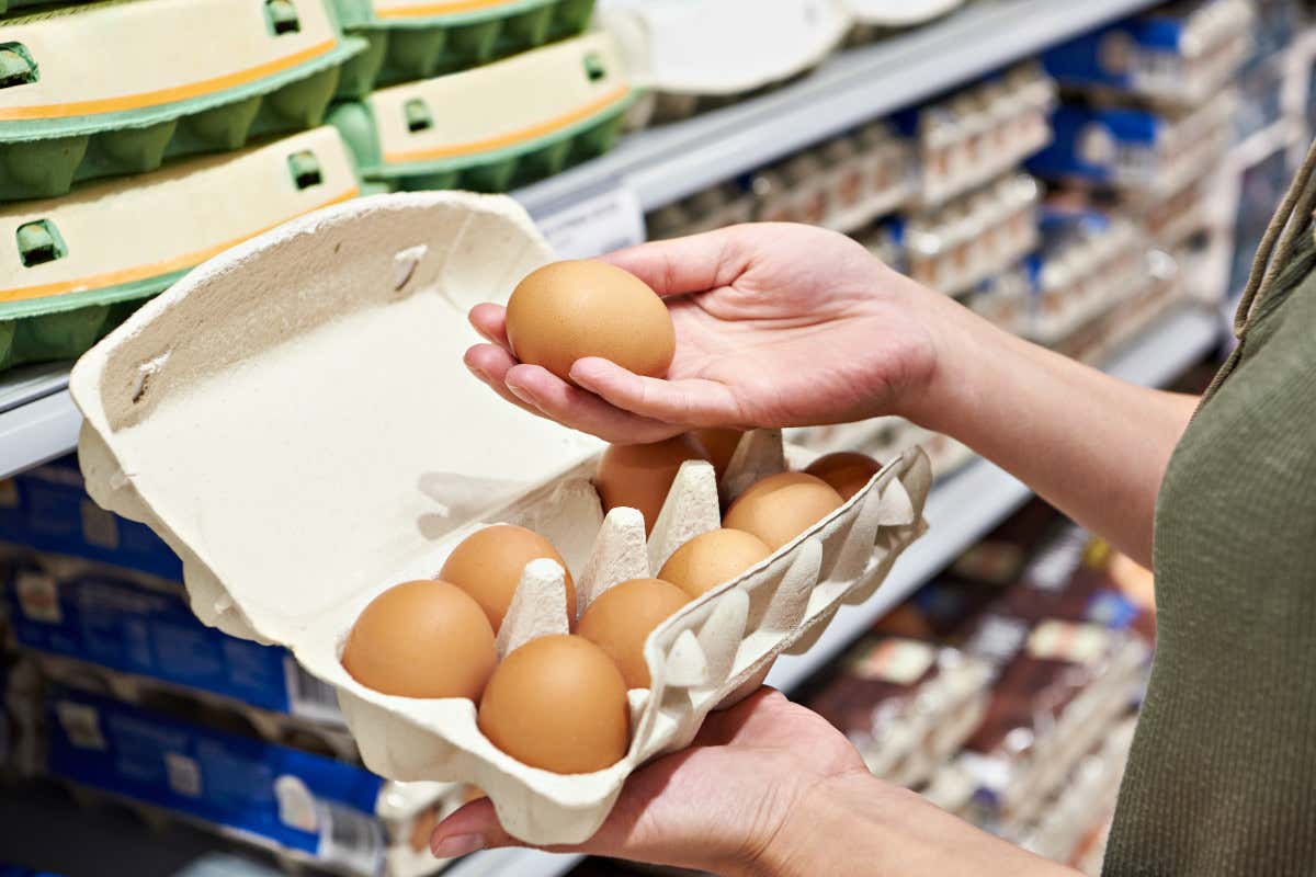Le uova da allevamento a terra sono le più scelte: 7 italiani su 10 le comprano