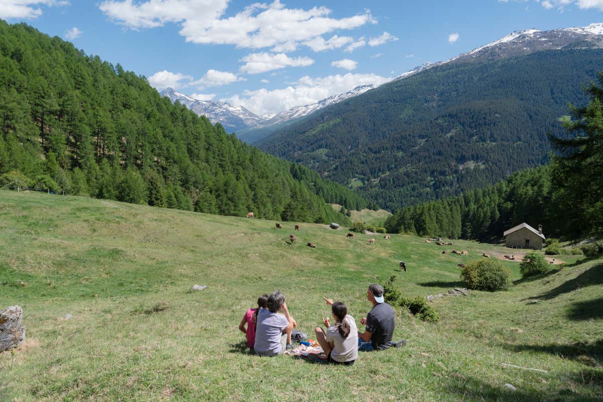 La Valtellina è la cornice ideale per un picnic