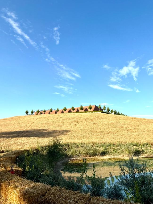 la ricetta di boeri per il pastificio dentro la collina