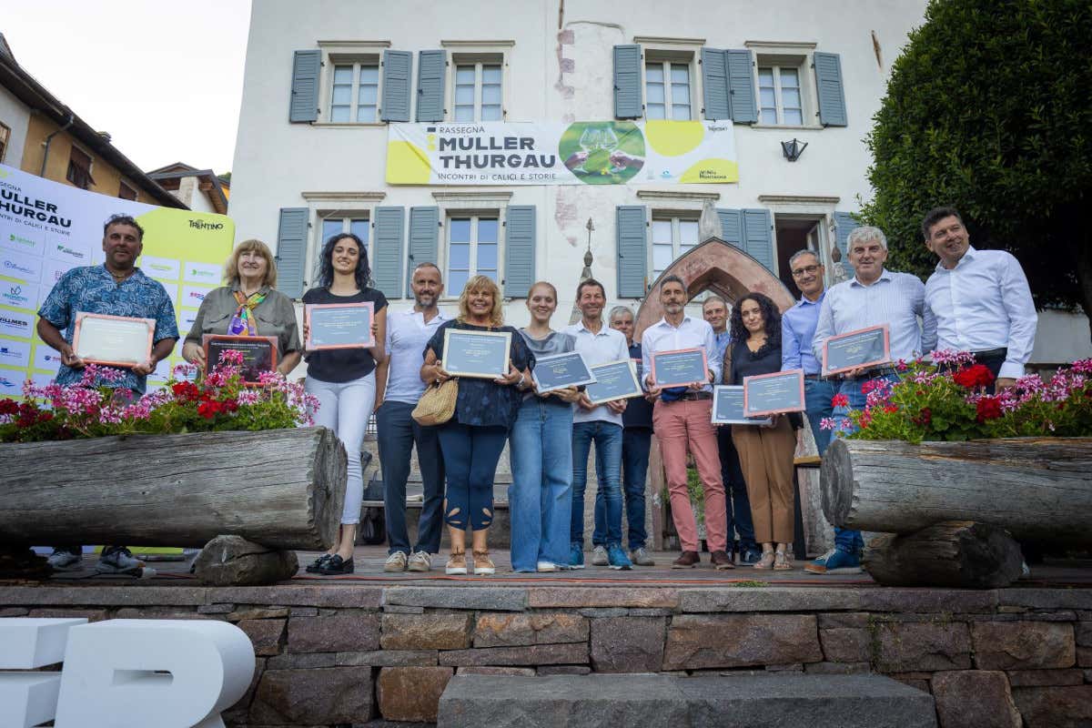 Concorso Müller Thurgau, qualità alta e punteggi ravvicinati: ecco i vincitori Concorso Müller Thurgau, qualità alta e punteggi ravvicinati: ecco i vincitori