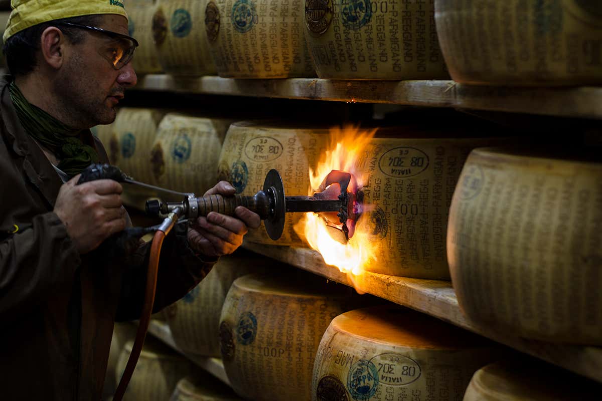 La produzione di Parmigiano di Montagna nel 2025 ha toccato le 921 mila forme