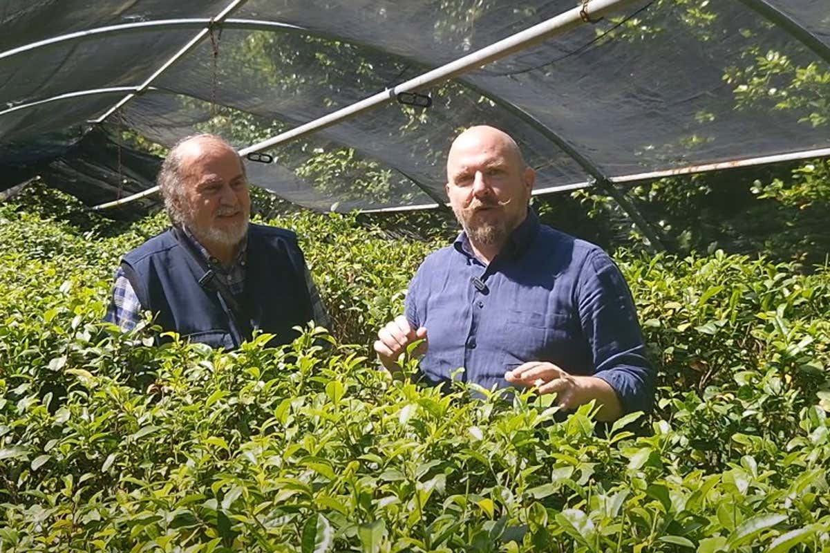Il Tea Master Albino Ferri (a destra) con Guido Cattolica