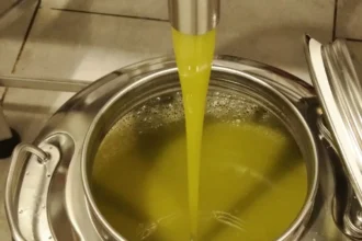 1786184343313 sh olio frantoio produzione 905b8a44