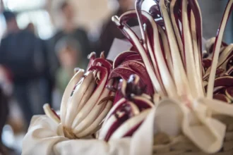 1789129149637 foto hannes niederkofler associazione turistica alta val di non radicchio rosso 1ff0411d