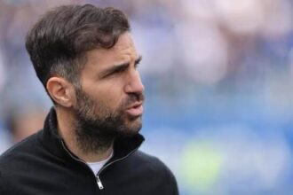 Cesc fabregas como 22a05b3d4505