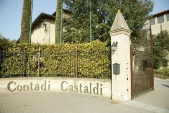 1791019759951 fb contadi castaldi 5d5c6be5