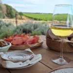 1792143871979 sh turismo enogastronomico vigne 9e051a6b