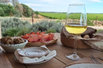 1792143871979 sh turismo enogastronomico vigne 9e051a6b