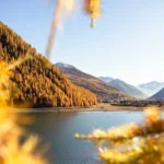 1792763727741 dagcom valtellina paesaggio autunnale livigno 7b2d2521