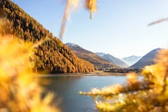 1792763727741 dagcom valtellina paesaggio autunnale livigno 7b2d2521