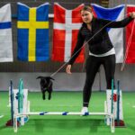 A rabbit leaps over an obstacle as its handler guides it during the long jump competition at the European Rabbit Jumping Championships in Lysekil, Sweden, on October 9, 2026. The three-day championship, running from October 9 to 11, features sever...