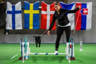 A rabbit leaps over an obstacle as its handler guides it during the long jump competition at the European Rabbit Jumping Championships in Lysekil, Sweden, on October 9, 2026. The three-day championship, running from October 9 to 11, features sever...