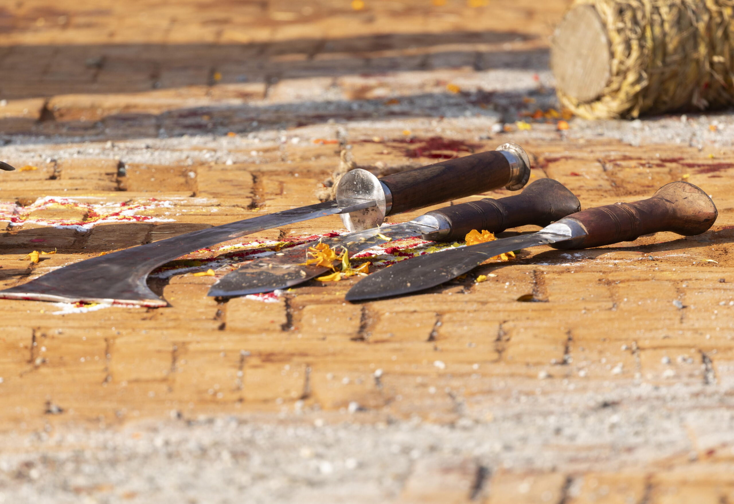 epa13316411 Weapons are worshipped before the sacrifice of a buffalo and a goat during Maha Nawami, the ninth day of the Dashain festival, at Kathmandu Durbar Square in Kathmandu, Nepal, 20 October 2026. During Dashain, Nepalese Hindus worship Dur...