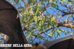 6ae35df180a15 r d 236 402 25477