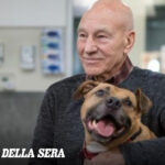 6ae637e239861 r d 248 164 0